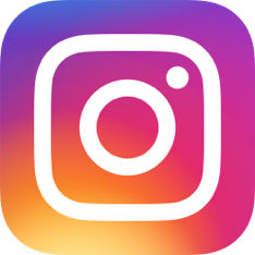 instagram badge